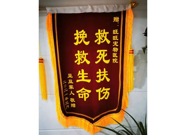 榮譽(yù)證書(shū)