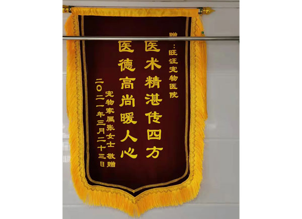 榮譽(yù)證書(shū)